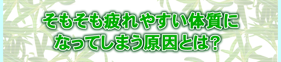 �����������₷���̎��ɂȂ��Ă��܂������Ƃ́H  